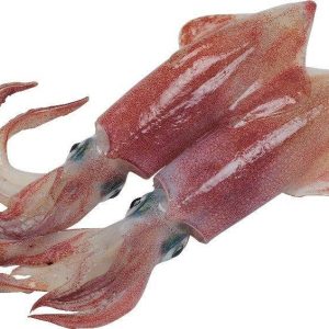 Calamar en Tubes 1Kg
