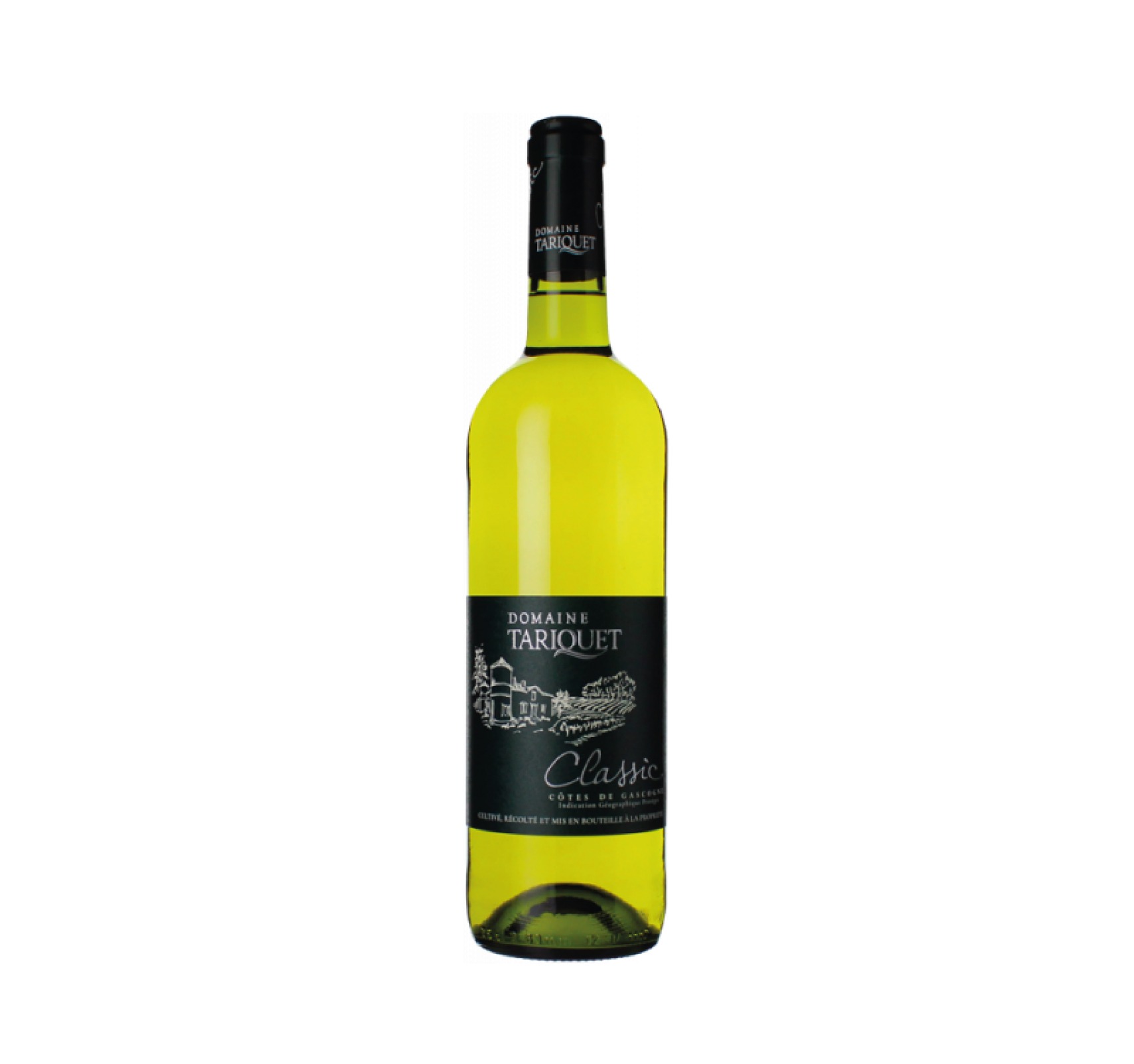 Domaine Tariquet “CLASSIC” I.G.P CÔTES DE GASCOGNE Blanc 2022 Bouteille 75cl