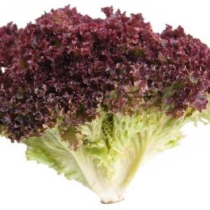 Laitue Frisée 1 pièce